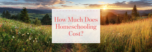 How Much Does Homeschooling Cost?