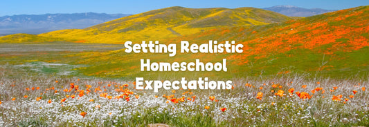 Setting Realistic Homeschool Expectations