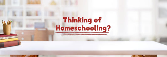 Thinking of Homeschooling? Simple Steps to Creating a Schedule