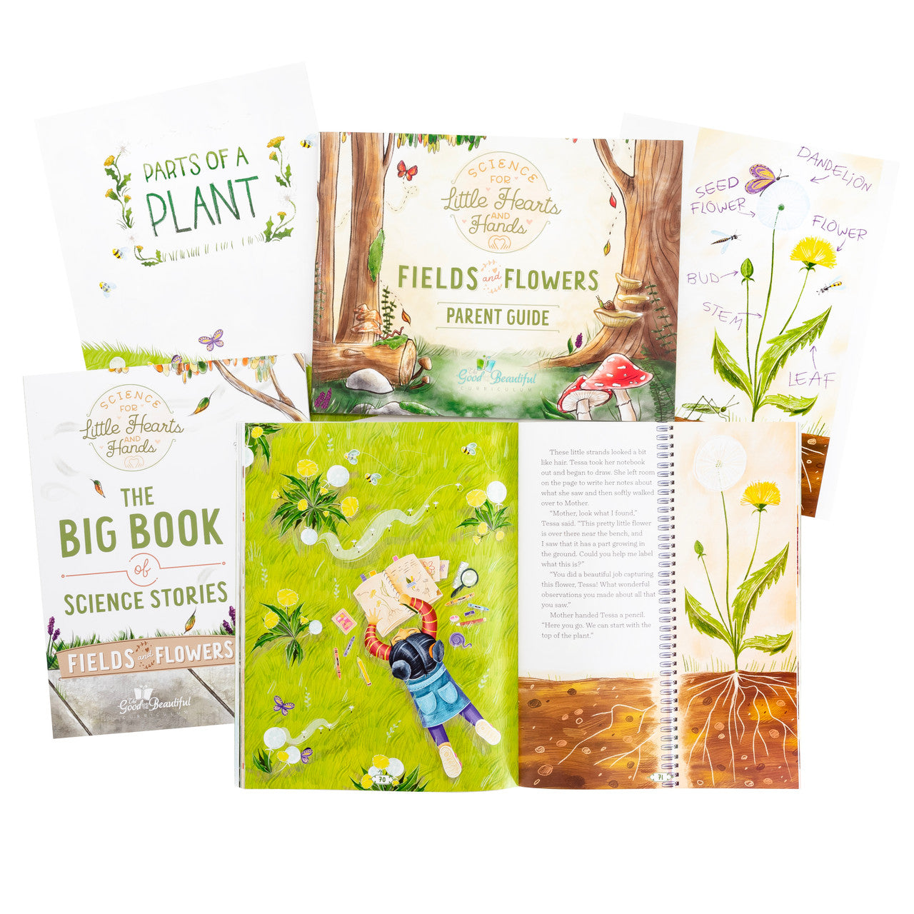Fields and Flowers: Course Set