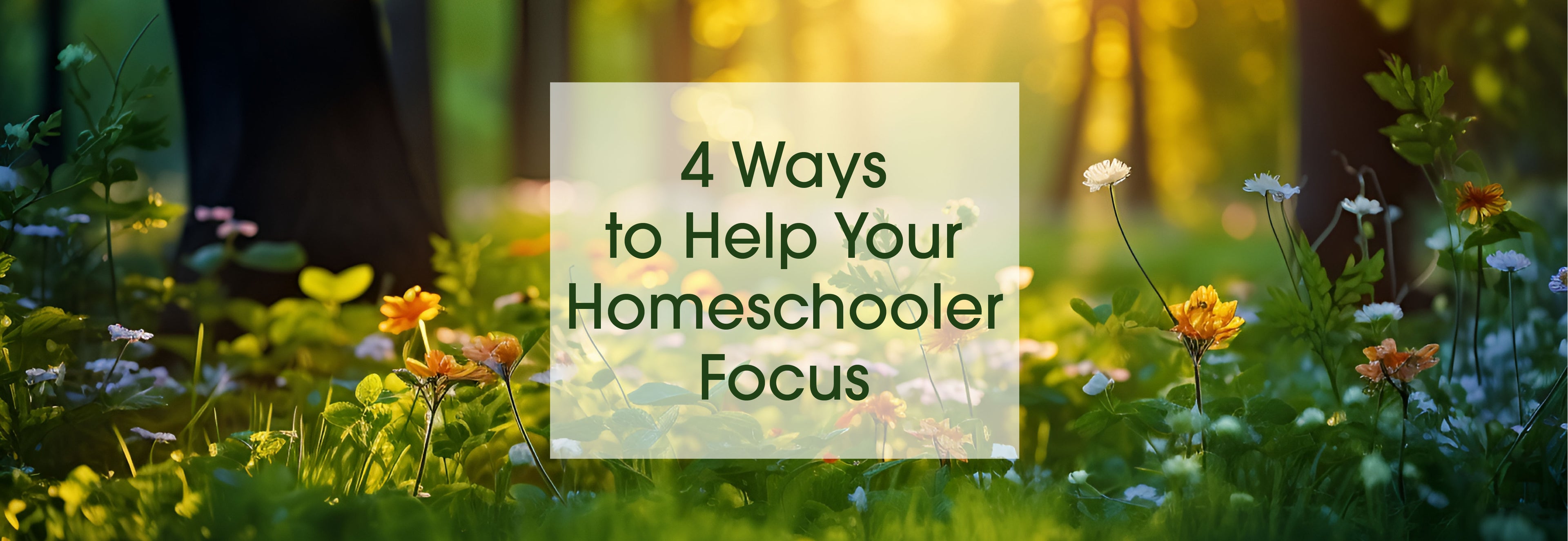 4 Ways to Help Your Homeschooler Focus_Banner