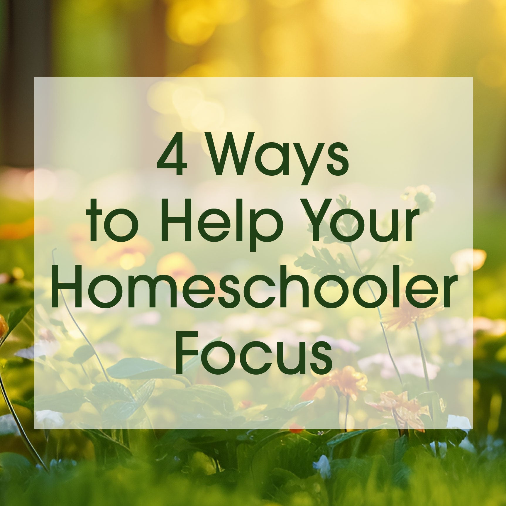 4 Ways to Help Your Homeschooler Focus_Image Square