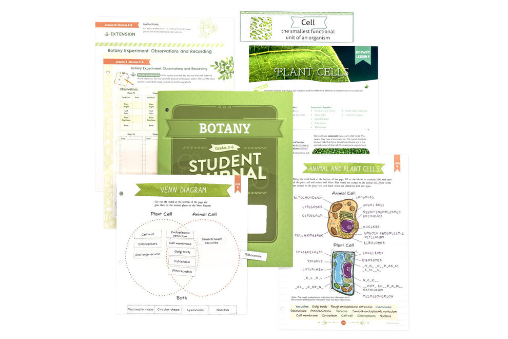 Botany: Course Book: One Per Family – The Good and the Beautiful