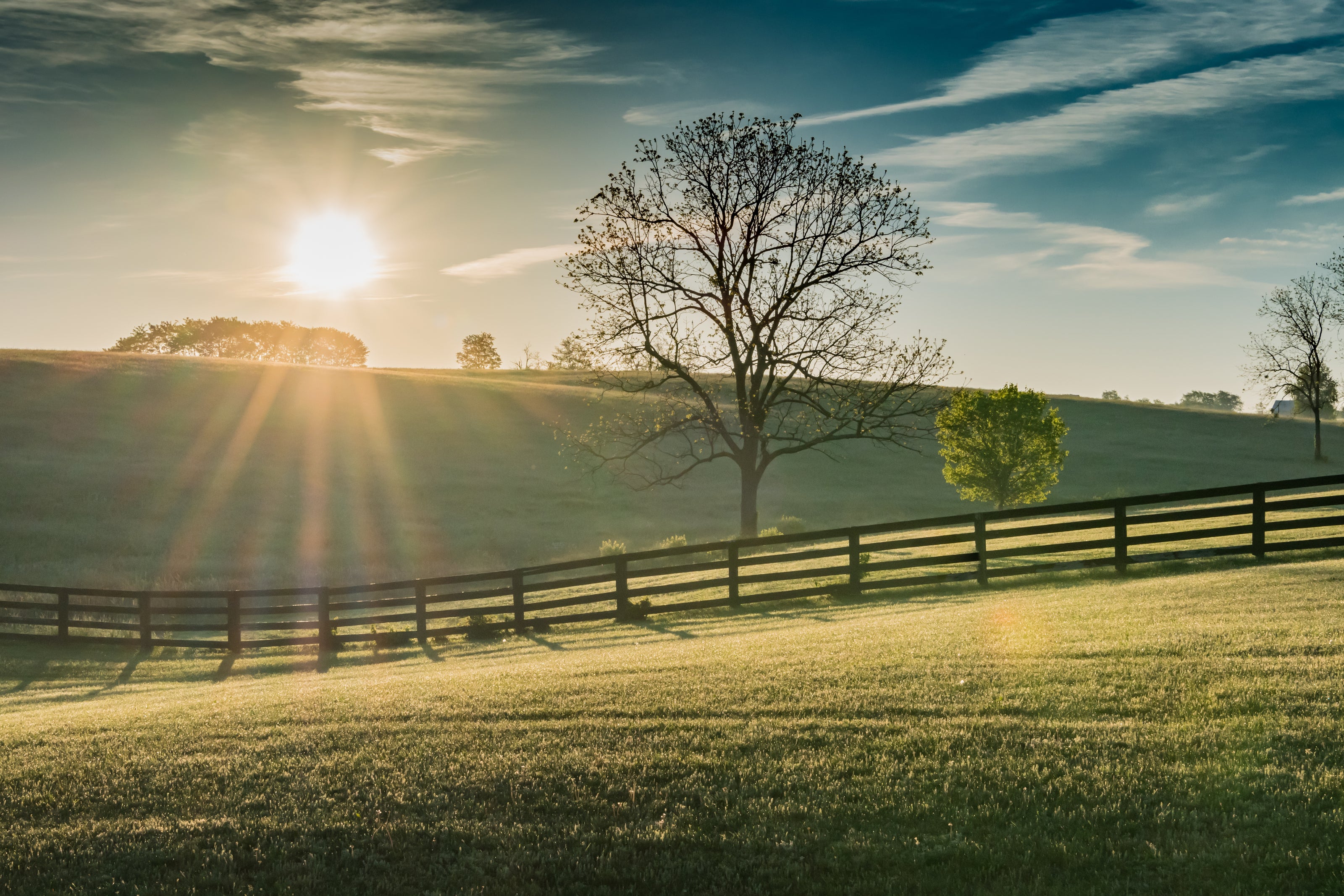 A sunny pasture | The Good and the Beautiful