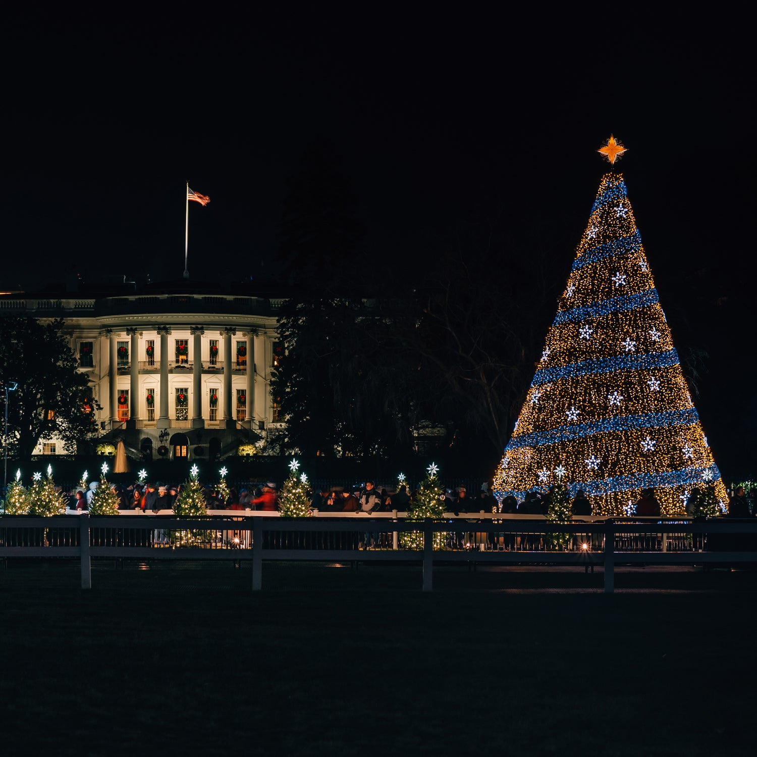 A large and bright Christmas tree outside of the white house at night | The Good and the Beautiful