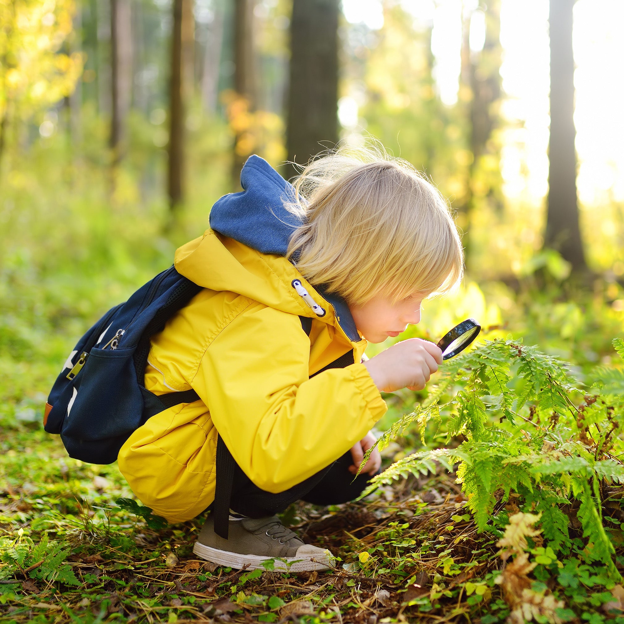 A school aged child kneeling down and using a magnifying glass to look at a plant in the woods | The Good and the Beautiful