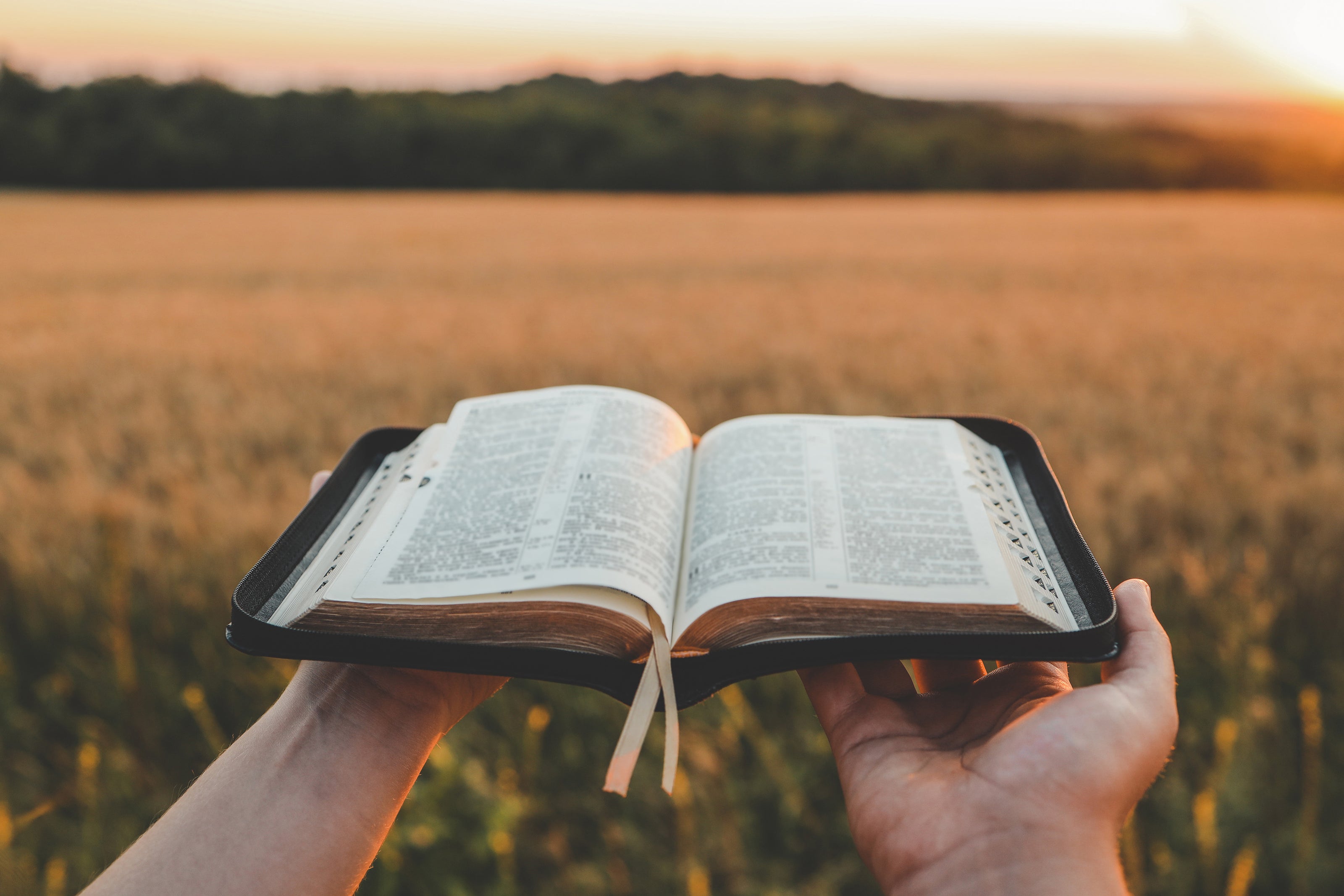 Two hands holding an open bible | The Good and the Beautiful