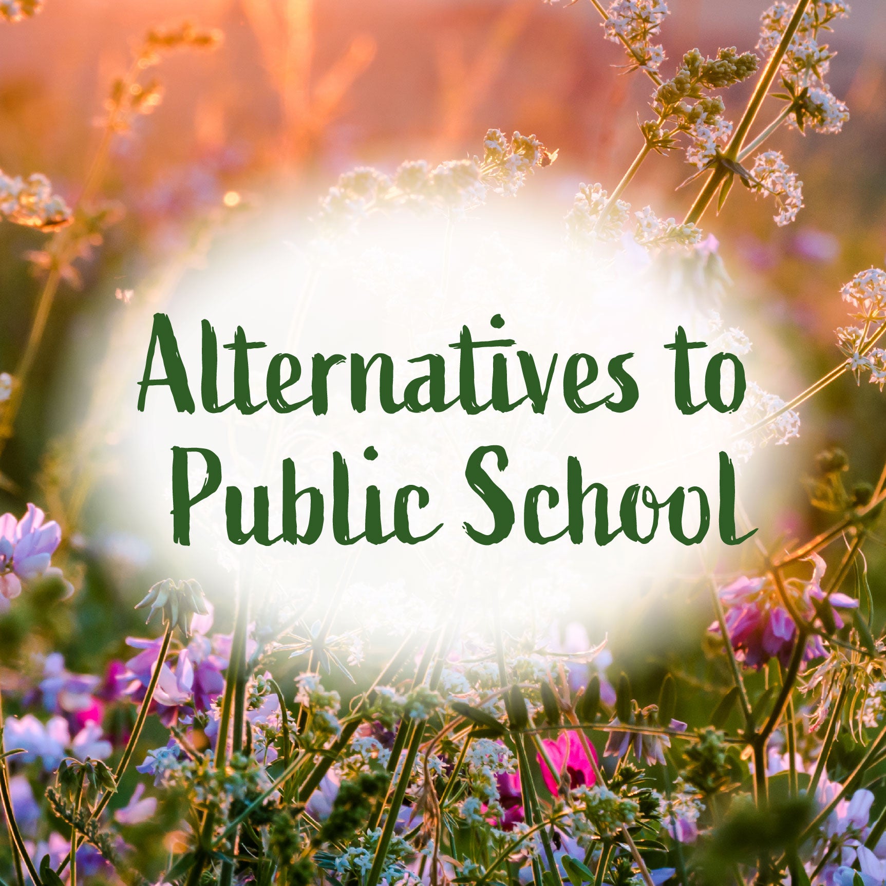 A floral background with the text "Alternative to Public School" | The Good and the Beautiful