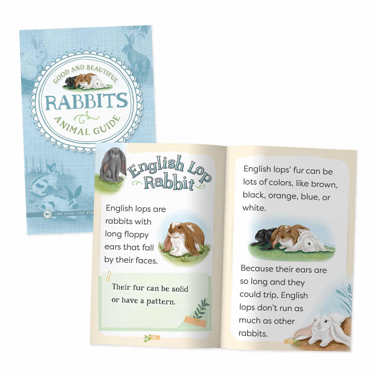 Good and Beautiful Animal Guide: Rabbits – The Good and the Beautiful