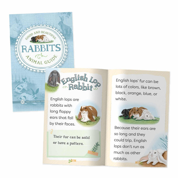 Good and Beautiful Animal Guide: Rabbits – The Good and the Beautiful