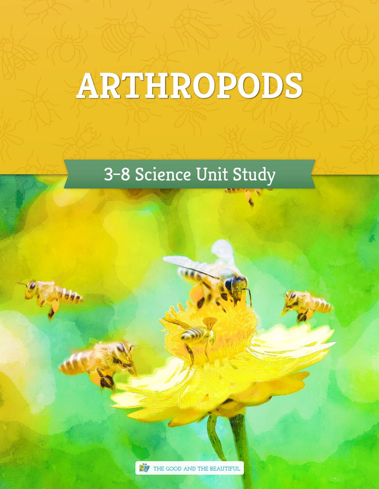 Science Videos – The Good and the Beautiful