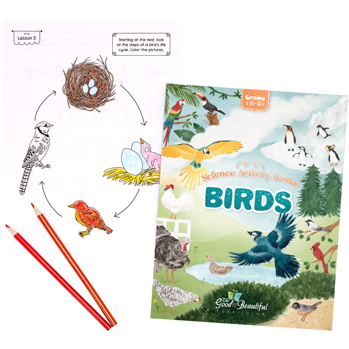 Birds Science Lesson Birds: Science Activity Book – The Good and the Beautiful