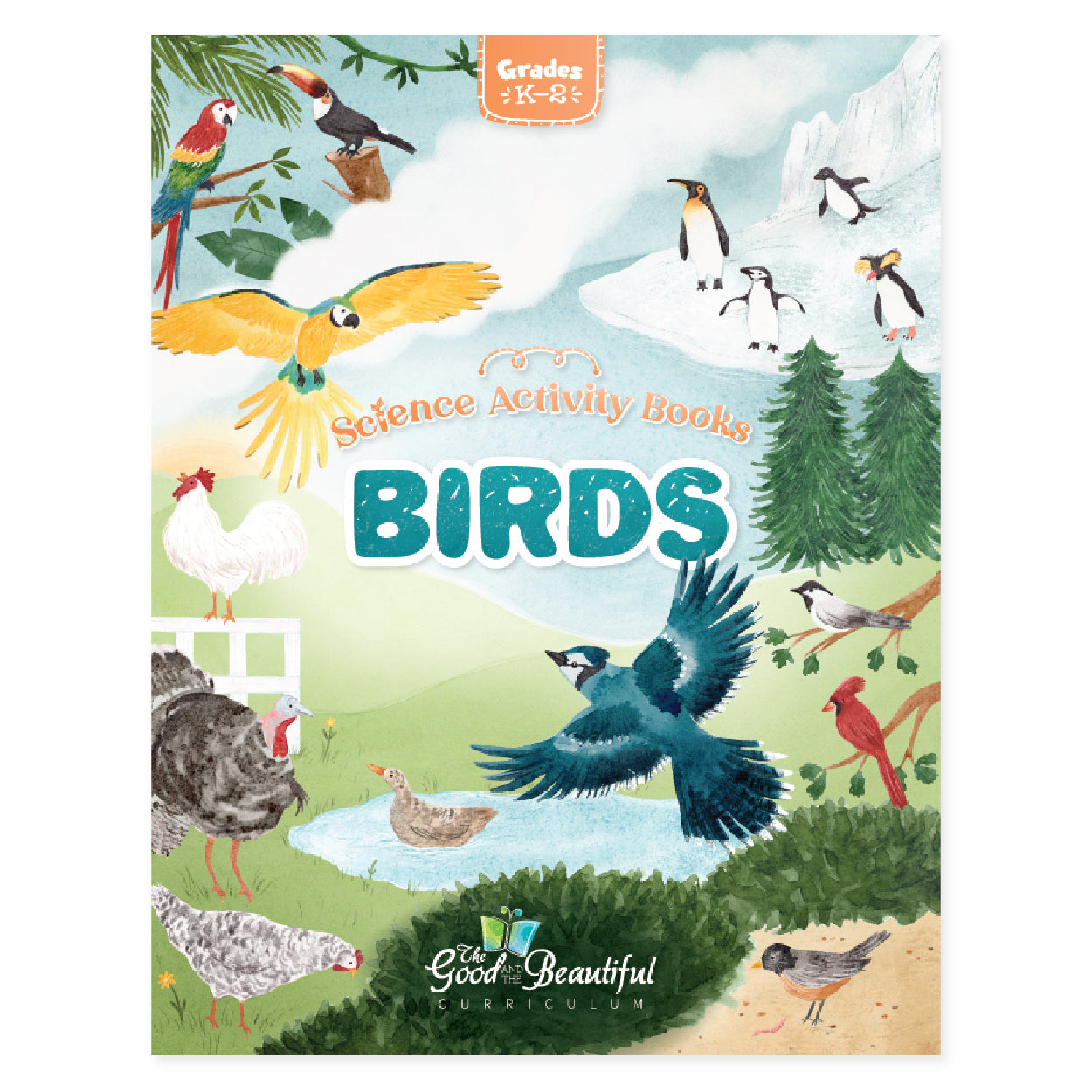 Birds: Science Activity Book