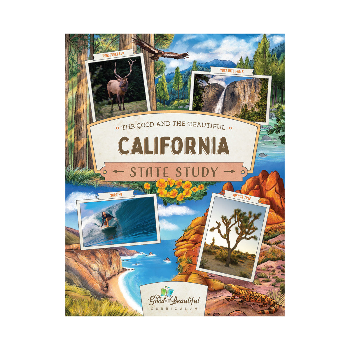 California State Study course book cover | The Good and the Beautiful