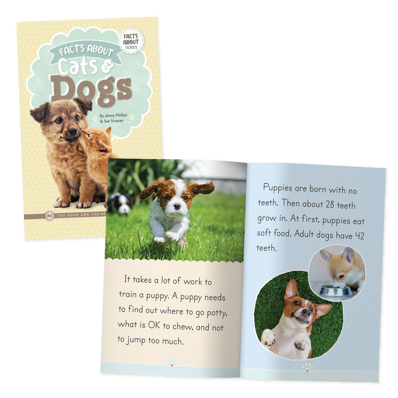Facts About Cats & Dogs