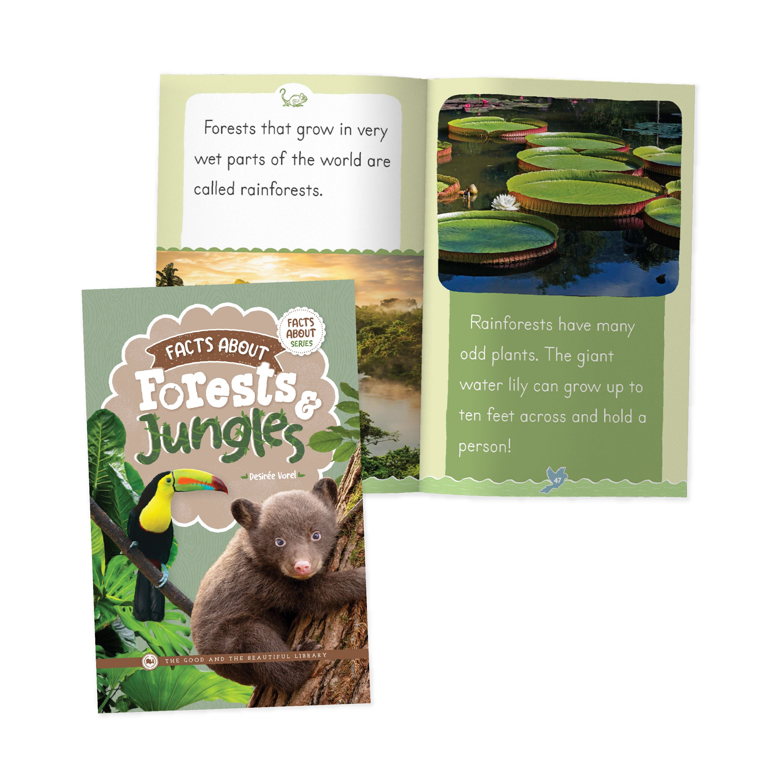 Facts About Forests & Jungles – The Good and the Beautiful