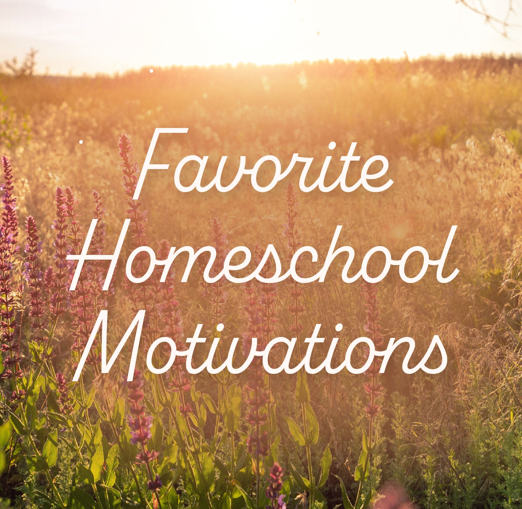 Favorite Homeschool Motivations | The Good and the Beautiful Blog