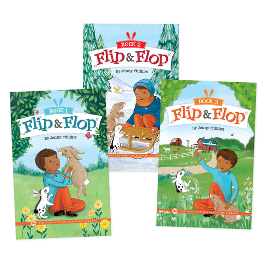 Flip and Flop Series