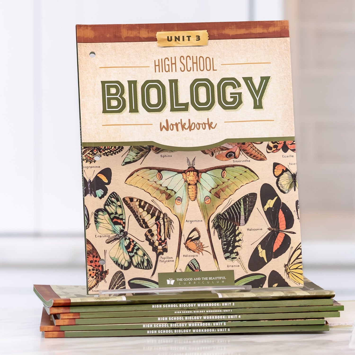 High School Biology Workbook | The Good and The Beautiful