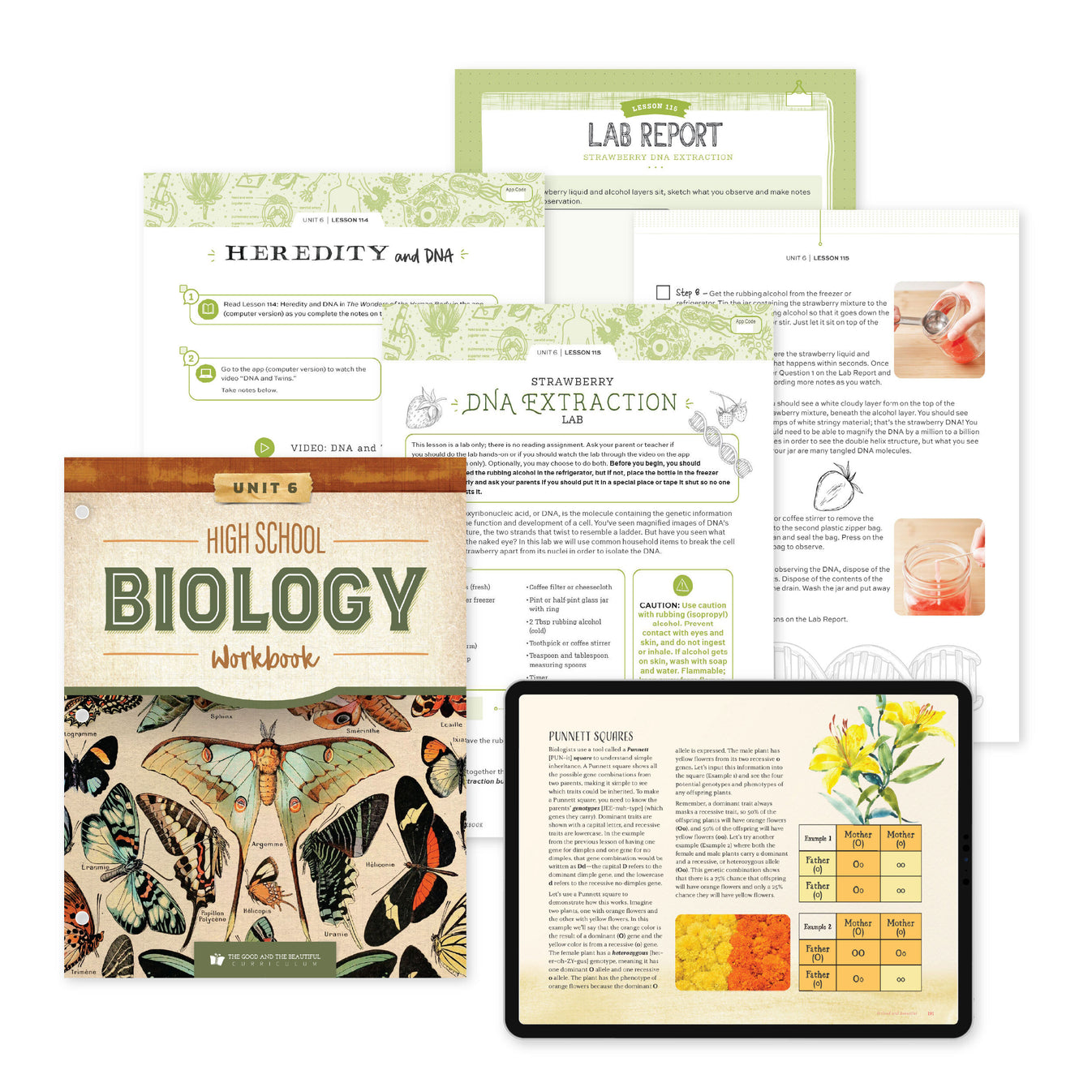 High School Biology Course Set The Good and the Beautiful