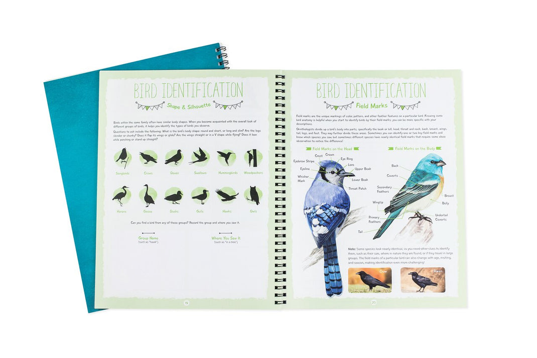 Bird Draw Notebook Free Downloads Birdwatching Notebook – The Good and the Beautiful
