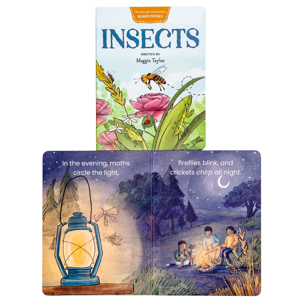 Insects Board Book – The Good and the Beautiful