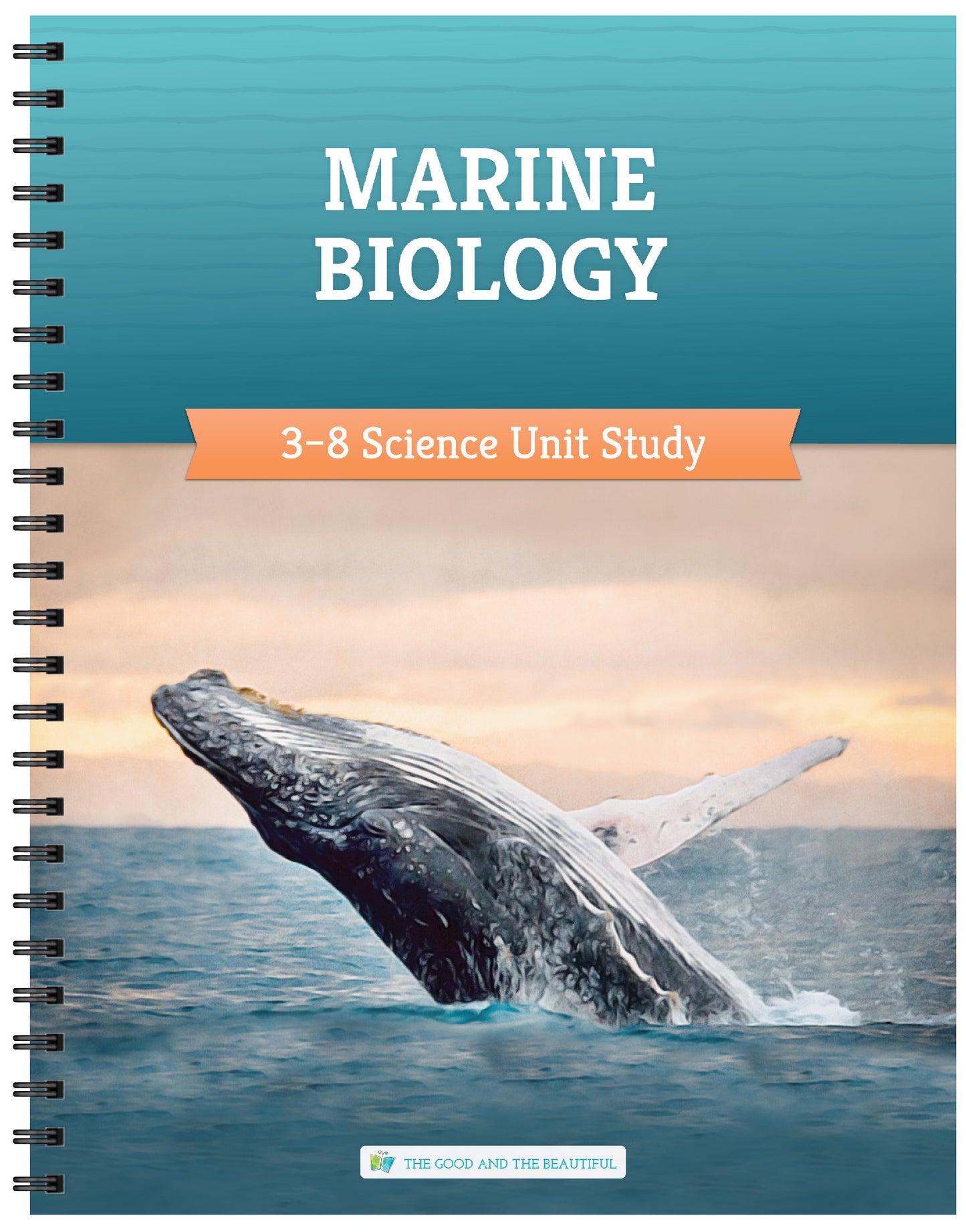 Marine Biology: Grades 3–8 Science Unit Study | The Good and The Beautiful
