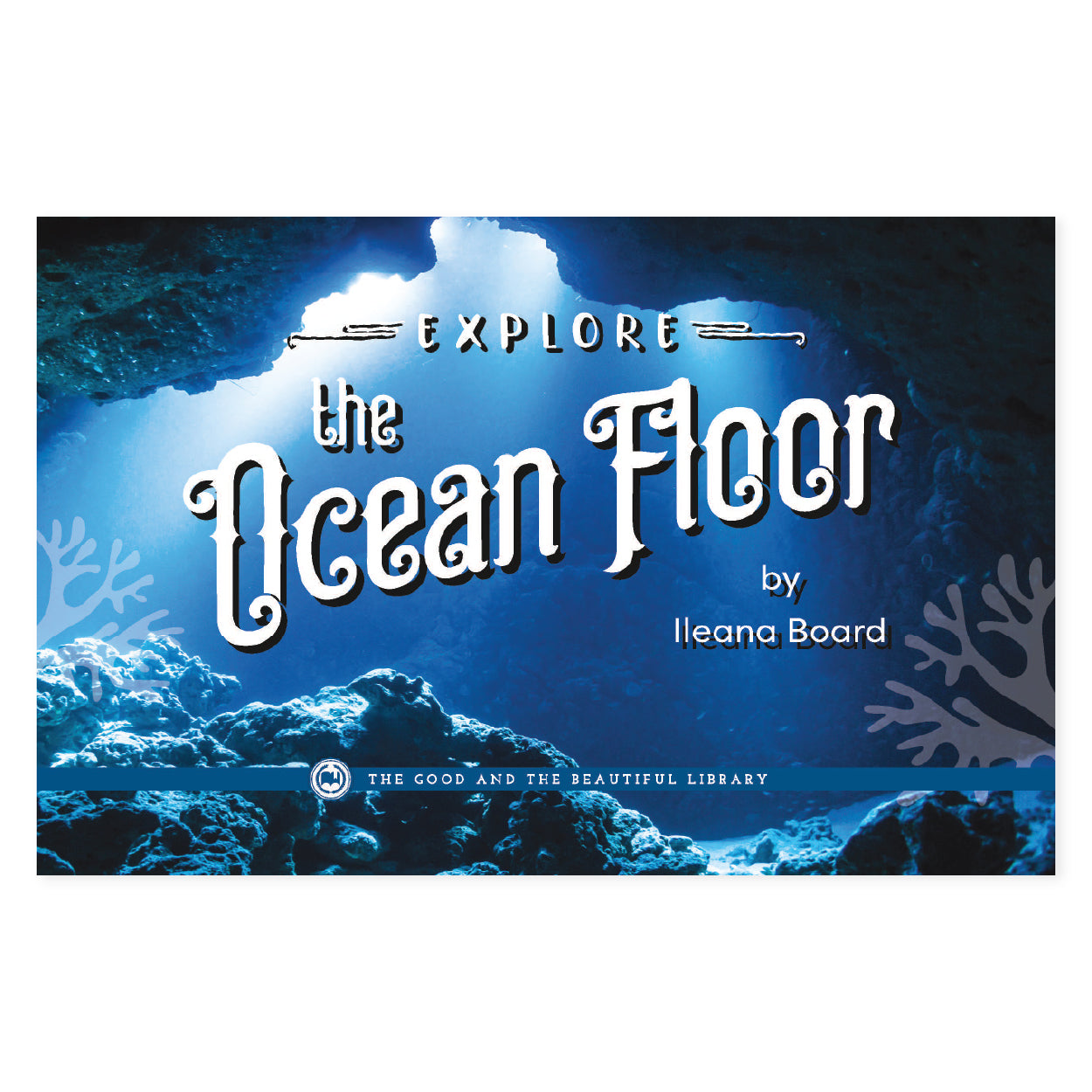 Explore the Ocean Floor: Marine Biology Grades 7-8 Extension