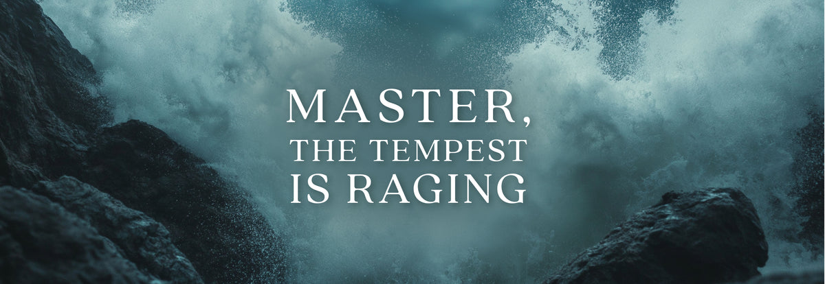 Master, the Tempest Is Raging – The Good and the Beautiful