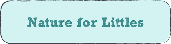 Nature for Littles