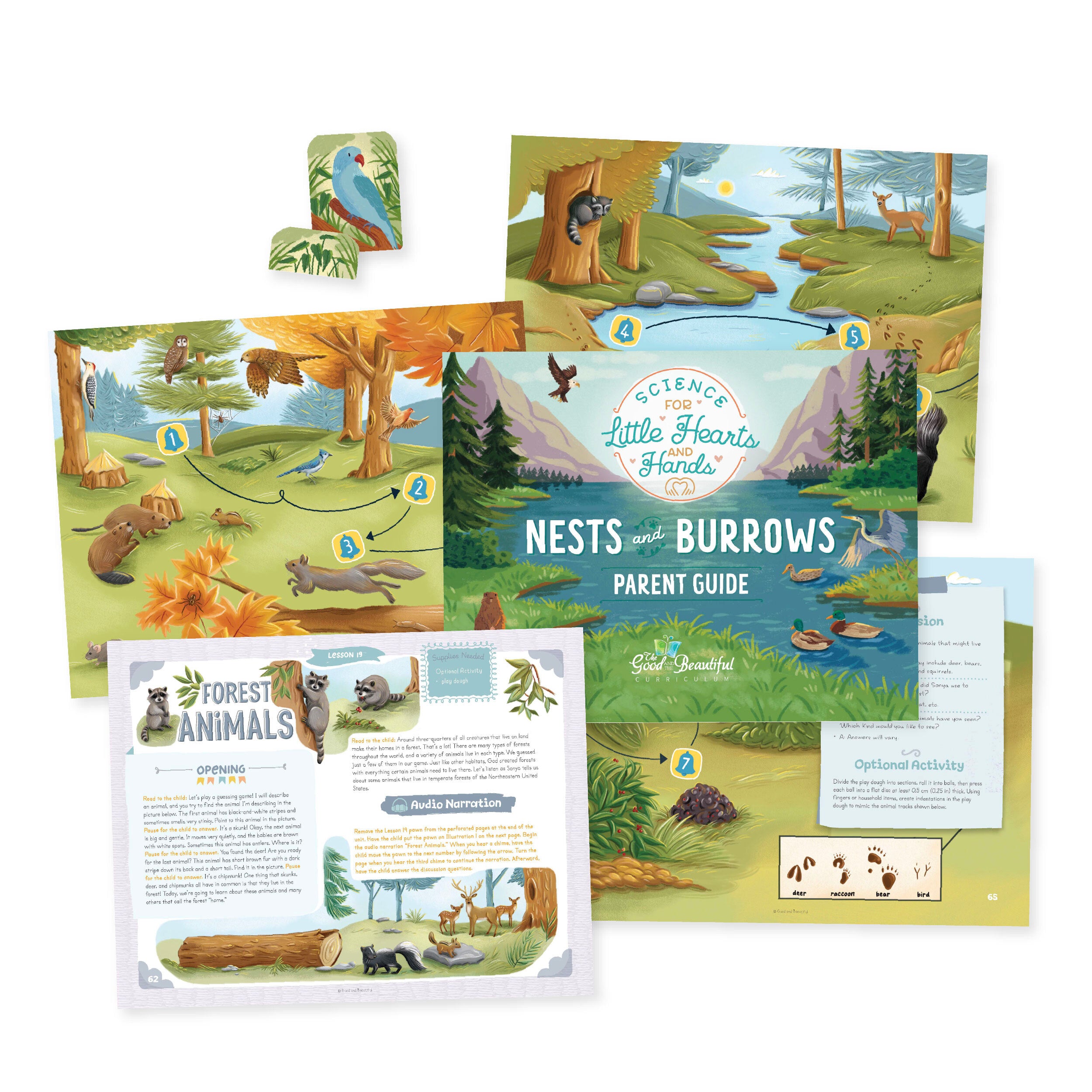 Nests and Burrows Guide | The Good and The Beautiful