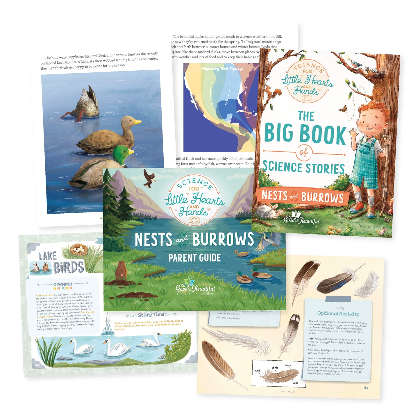 Nests and Burrows Course Set | The Good and The Beautiful