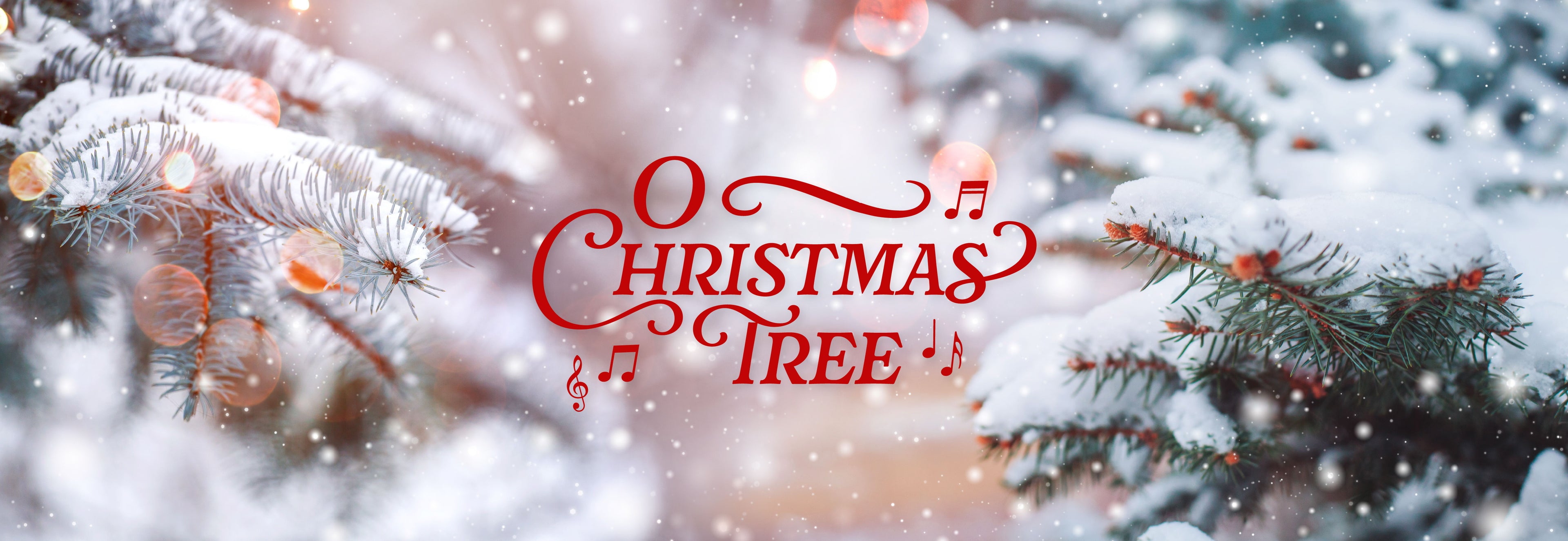 A close up of snow-covered pine tree branches with the text O Christmas Tree | The Good and the Beautiful