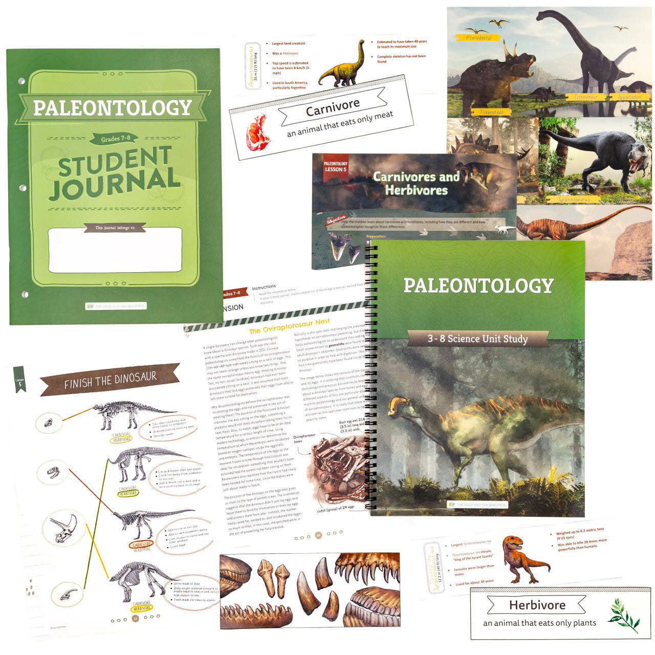 Paleontology Course Book One Per Family The Good and the