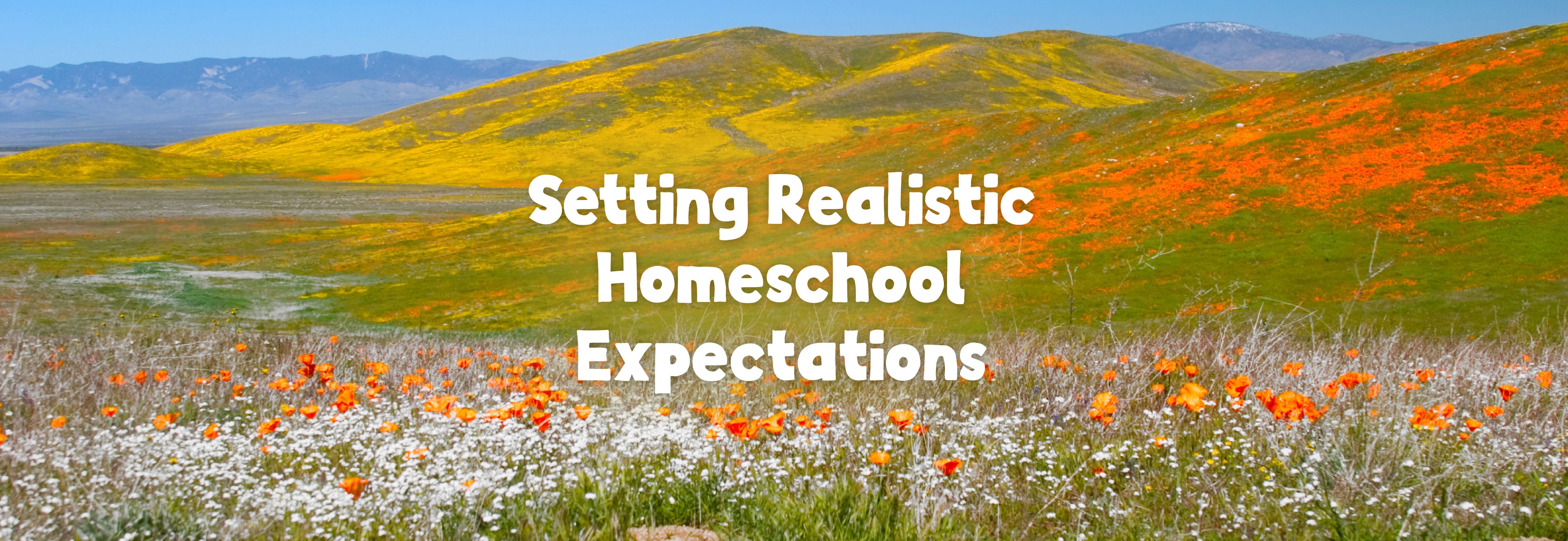 A landscape of hills covered in green grass and flowers with the text Setting Realistic Homeschool Expectations | The Good and the Beautiful