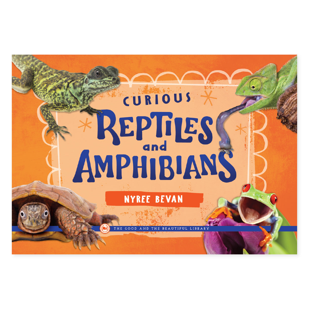 Curious Reptiles and Amphibians by Nyree Bevan book cover | The Good and the Beautiful