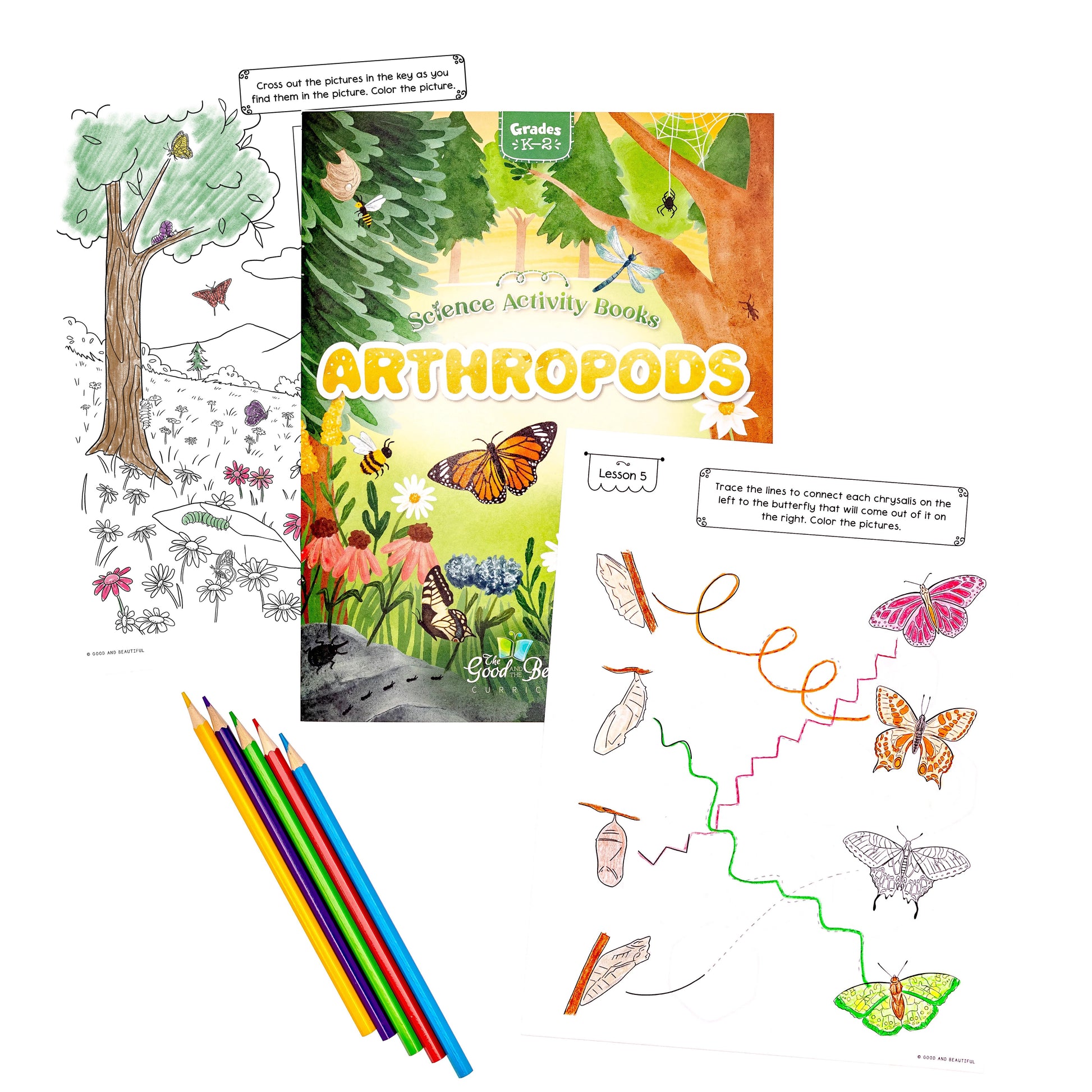 The Arthropods Science Activity Book for Grades K-2 with two sample activity pages | The Good and the Beautiful
