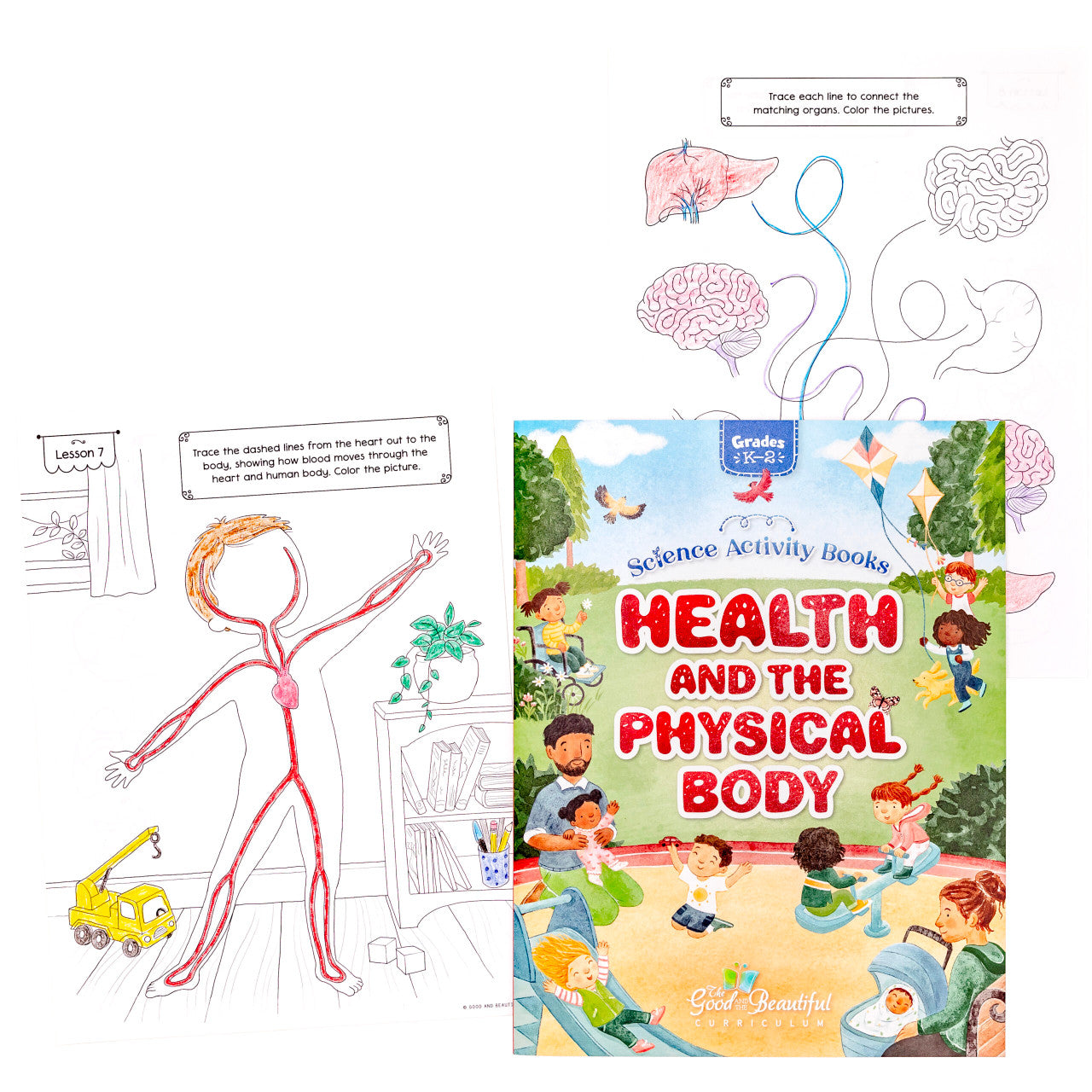 Health and the Physical Body: Science Activity Book