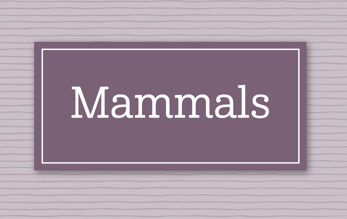 Science Books – The Good and the Beautiful