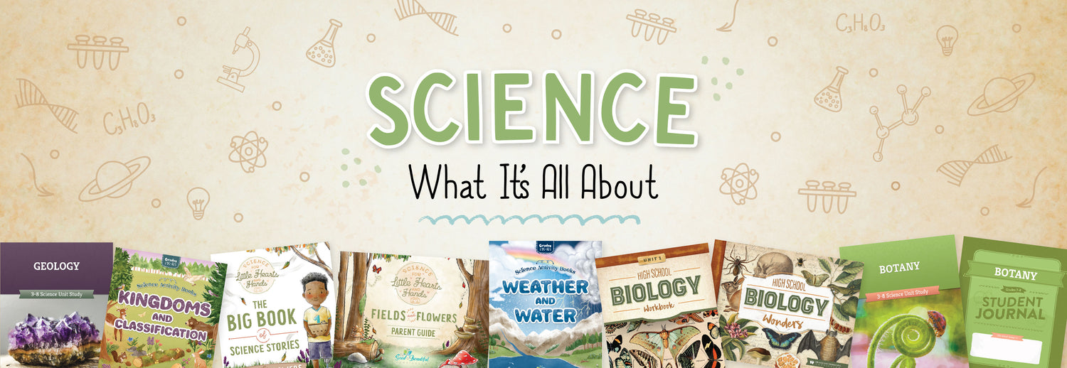 The Good and the Beautiful Science: What It’s All About