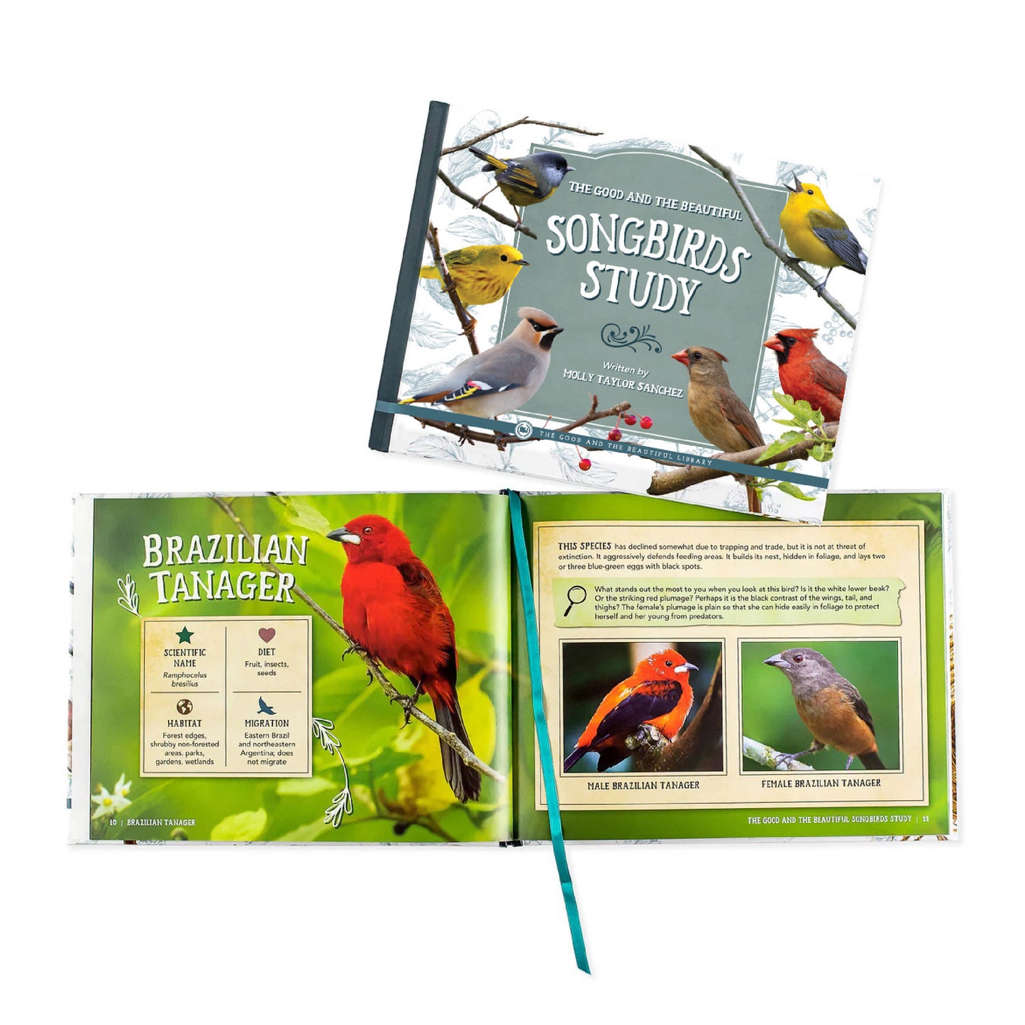 The cover of the songbirds study book with an open look inside the book including pages about the Brazilian Tanager | The Good and the Beautiful