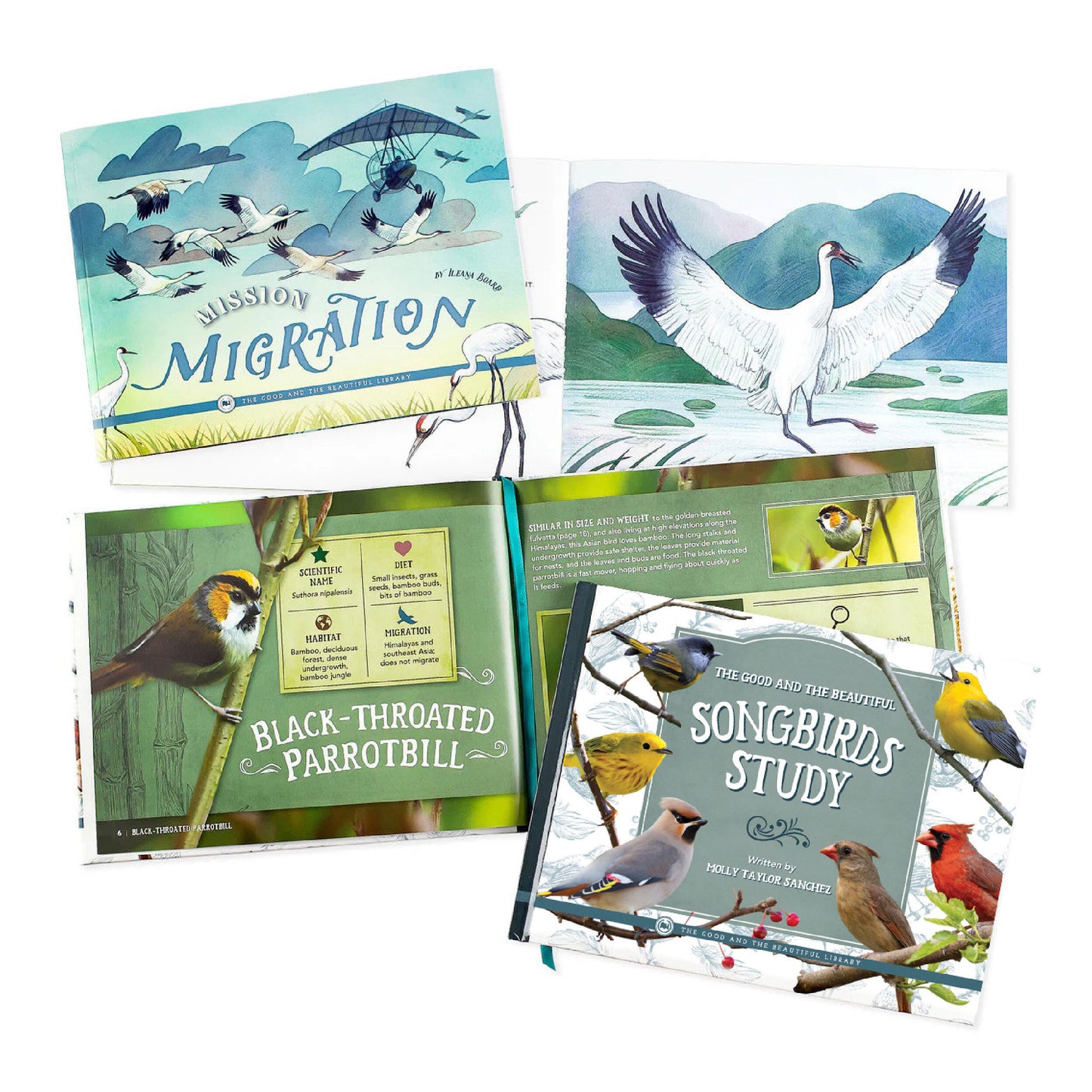 A collage of two read-aloud books about birds | The Good and the Beautiful