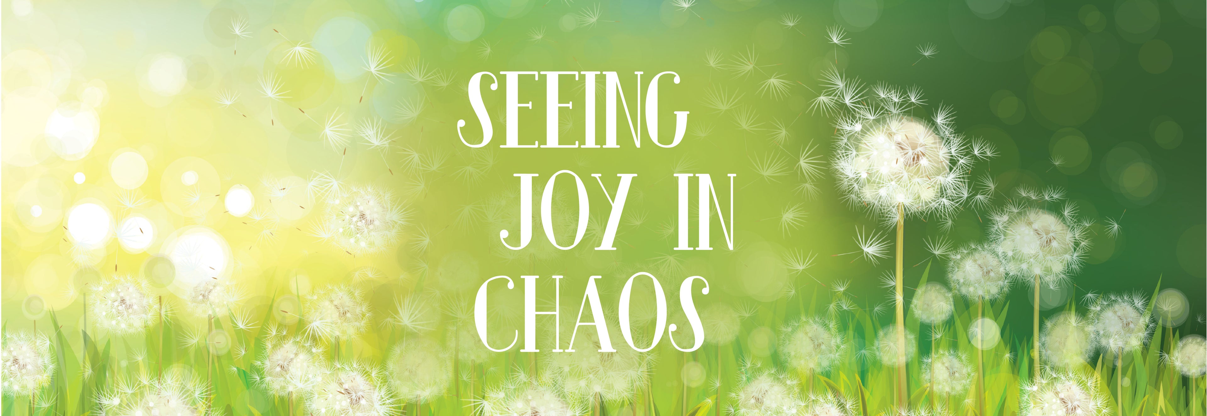 A grassy field filled with dandelions and its seed floating in the air with the text "Seeing Joy in Chaos" | The Good and the Beautiful