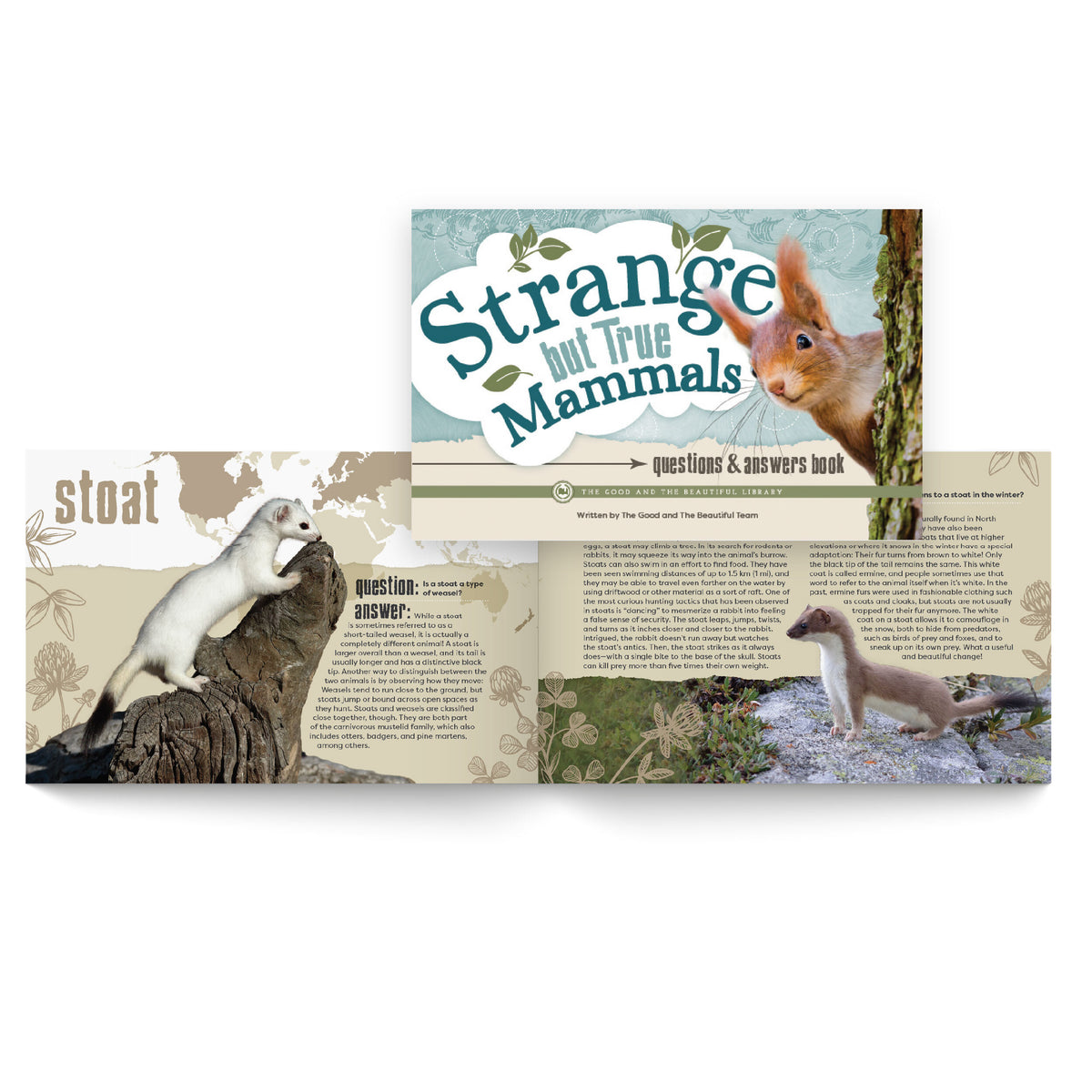 The book "Strange but True Mammals" with a two-page preview | The Good and the Beautiful