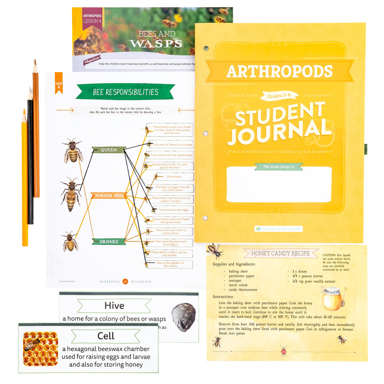Arthropods: Student Journal Grades 3-6: One Per Student