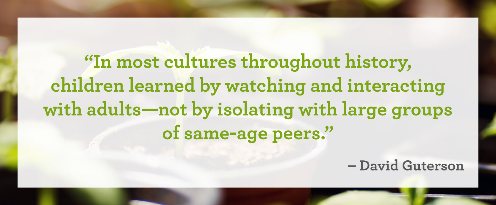"In most cultures throughout history, children learned by watching and interacting with adults–not by isolating with large groups of same–age peers." – David Guterson