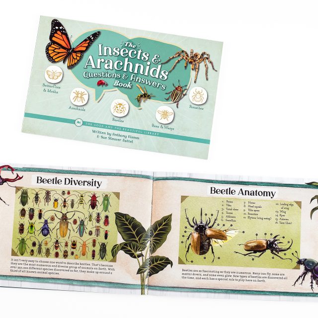 Suggested Itema The Insects and Arachnids Questions & Answers Book by Anthony Klemm and Sue Steuver Battel Image