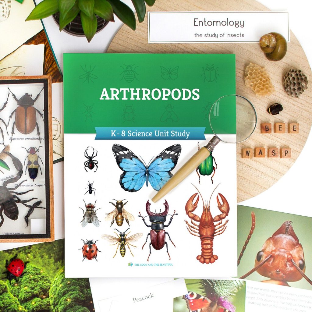 Front Cover and Samples Arthropods Science Unit