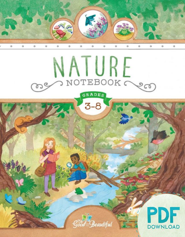 Nature Notebook for Grades 3 to 8 PDF Download Cover