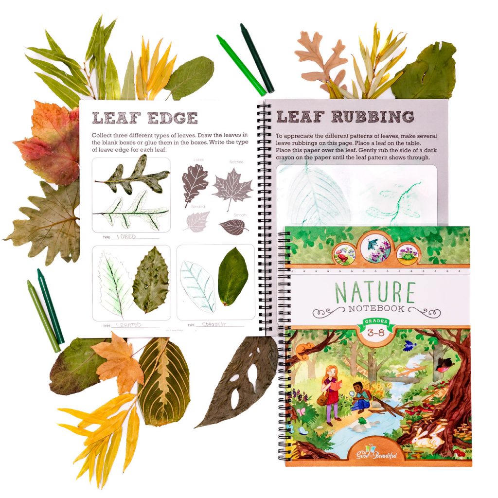 Spread Nature Notebook showing sample pages and leaves